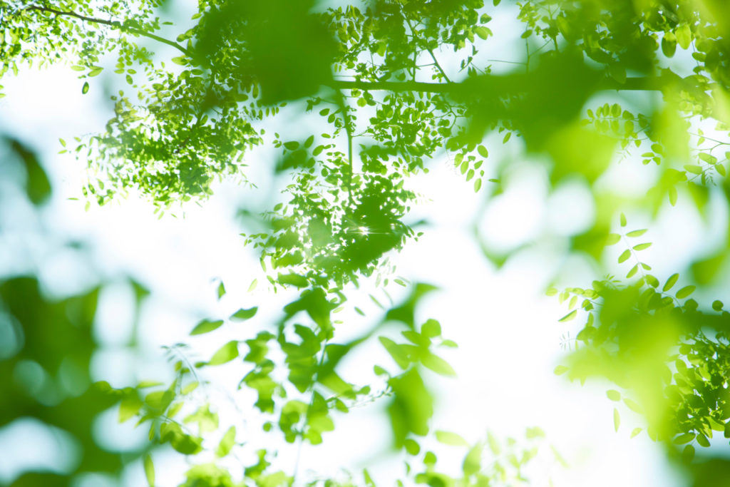 仙台駅から徒歩圏内。占いの前後に立ち寄りたい癒しカフェ「PICKS」